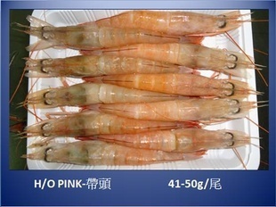 冷冻粗加工水产品-台湾海捕 中虾 2012新货-冷冻粗加工水产品尽在阿里巴巴-烟.