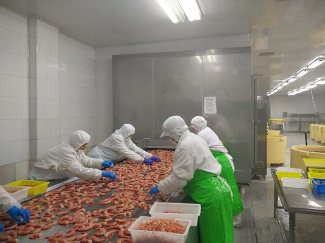 虾类速冻加工生产线 海产品加工设备 虾类加工设备