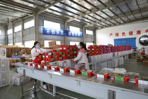 隘口 富隘食品 电商产品加工线投用,将带动100余人就业