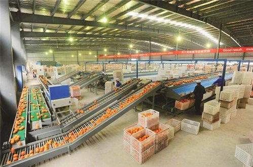 农产品深加工风口到来,天然植物萃取技术大战已经开始