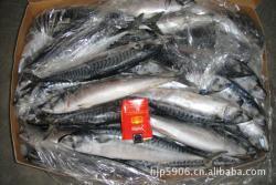 冷冻粗加工水产品-厂家生产供应 鲐鱼(青花鱼)_商务联盟