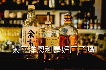 青岛状元郎国际酒业怎么样,青岛啤酒在国际上真实评价如何
