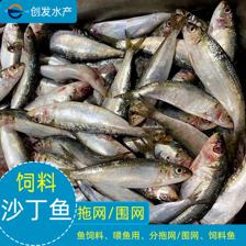 沙丁鱼饲料速冻水产品喂鱼用鱼饲料拖网鱼围网鱼冷冻海鲜冻鱼加工