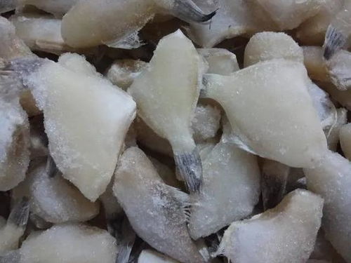 这种长得像老鼠的鱼,凭什么风靡川渝