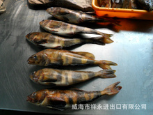 出口俄罗斯_冷冻粗加工水产品_出口俄罗斯批发_出口俄罗斯供应_阿里巴巴