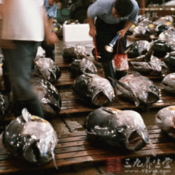 烟台检验检疫局扶持辖区远洋自捕水产品产业