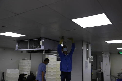 汕头高新区防控指挥部联合开展专项进口冷冻食品检查行动