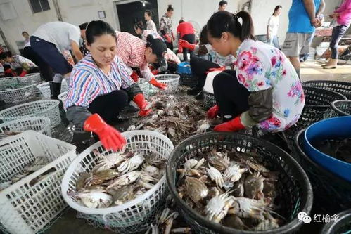 开海了 想买最新鲜 地道的海鲜,老连云港人都来这里