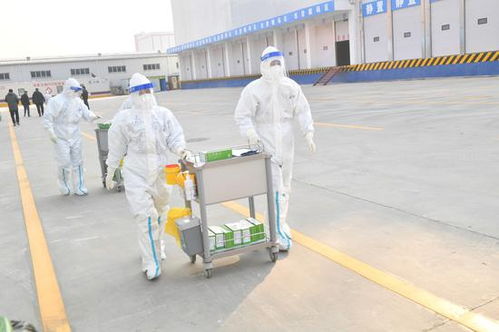 郑州进口冷链食品集中监管仓正式启用