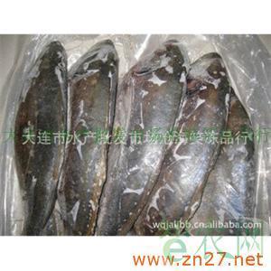 供应冷冻粗加工水产品美国进口银鲳鱼_大连市水产批发市场沧海笑冻品行_智农分级_知e农网(智农网)