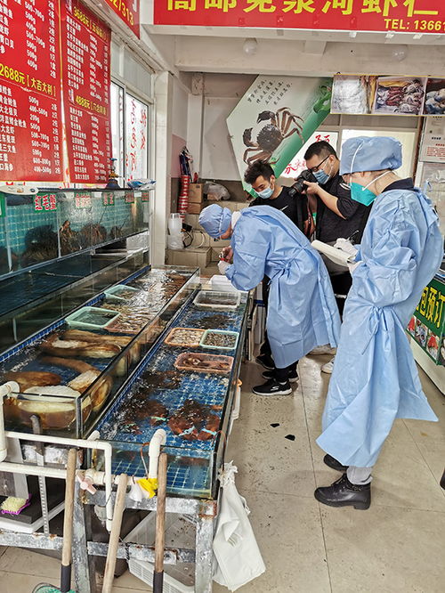 上海6月起对重点生鲜食品采样,已完成核酸检测样品均为阴性
