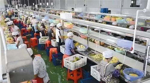 扎心了 谁说农产品深加工只能做吃喝 日本已经 玩出花 了