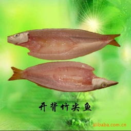 厂家批发 竹尖鱼 冷冻粗加工水产品 海产品 海南价格信息