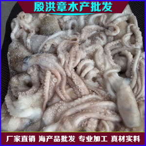 【水章鱼】水章鱼价格/图片_水章鱼批发/采购_水章鱼厂家/供应商