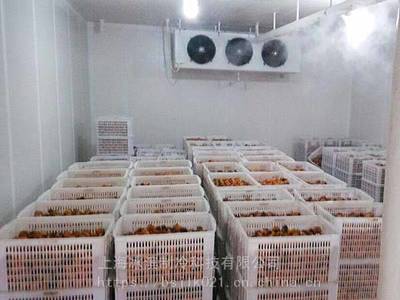 果蔬保鲜冷藏酒店冷库设计建设水产海鲜冷冻库牛羊肉制品速冻库
