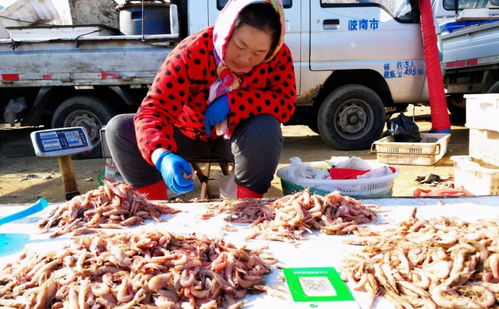 阜阳疫情又和冷冻海鲜有关 进口的冷冻产品现在还能安全食用吗