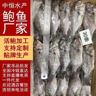 尼罗罗非鱼产地在哪?尼罗罗非鱼和罗非鱼有什么区别?