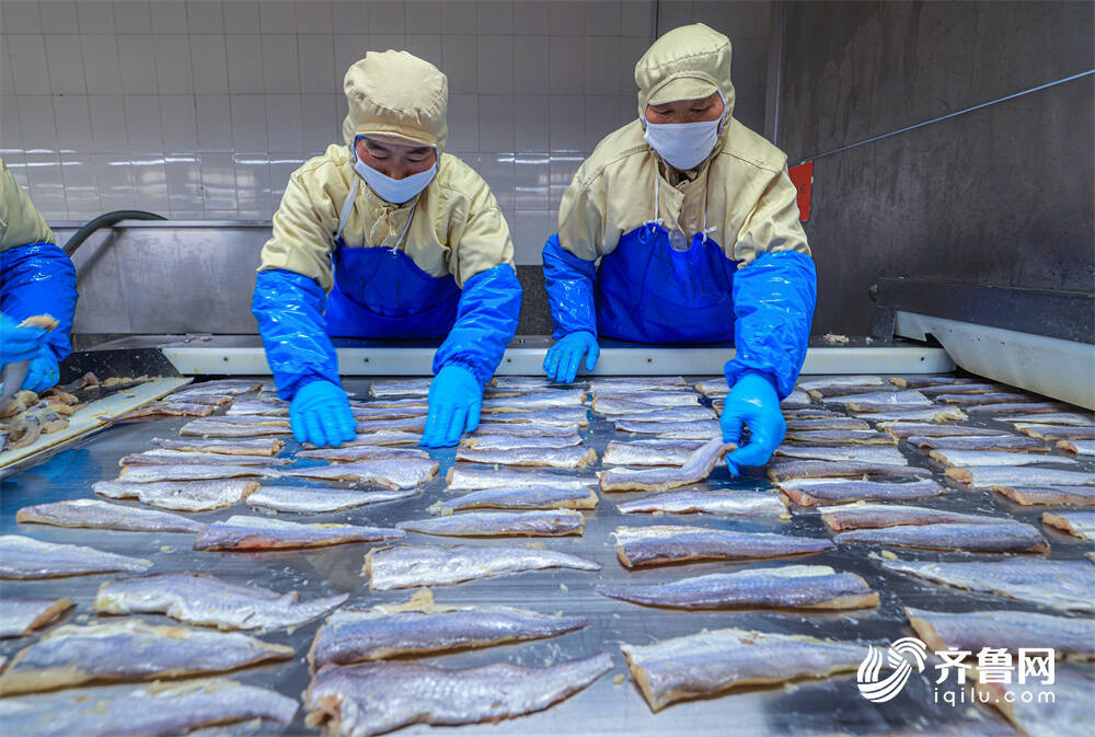 山东荣成:水产品出口加工忙_威海要闻_威海_齐鲁网