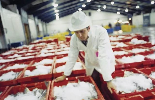 全球首次!青岛冷冻海鲜外包装分离出新冠活病毒,一大谜团得到实证!