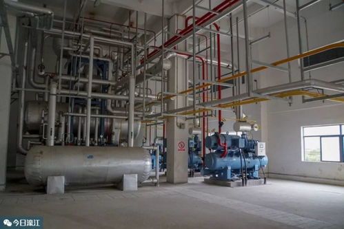 打造粤东冷链市场方向标 濠江这些项目有的已试产经营