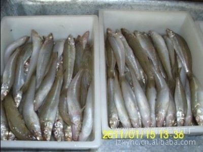 冷冻粗加工水产品-厂家直销优质沙丁鱼-冷冻粗加工水产品尽在阿里巴巴-崔华荣