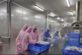 预制菜热潮兴起 恒兴与国联水产产品获广东官方推荐