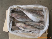 日照冷冻粗加工水产品与冷冻肉批发综合解析