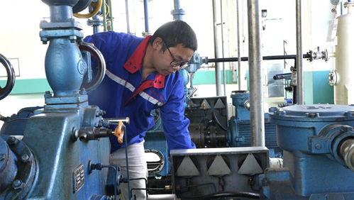 达州通川做实'农头工尾'文章 推动农产品加工业高质量发展