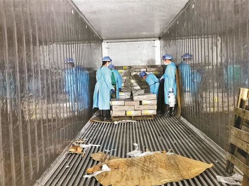 深圳严格监管进口冻品 每批次均需抽样核酸检测