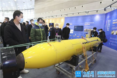 威海海洋产业装上创新引擎 冷冻肉批发新篇章