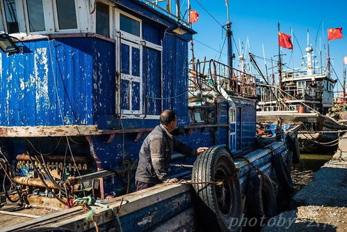 昌邑下营港冷冻肉批发市场概述与优势