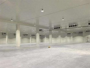 降低冷冻肉批发冷库运营成本的有效策略