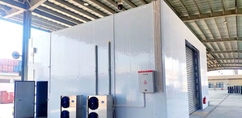 广澳港区冷链查验场地建成投用,助力水产品冷冻加工与直接进口升级