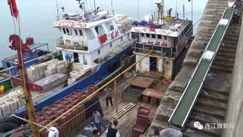 苔菉国家中心渔港最新进展与冷冻加工业务发展